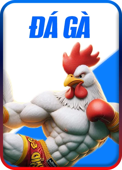 đá gà da88