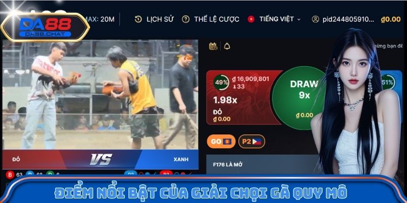 Điểm nổi bật của giải chọi gà quy mô