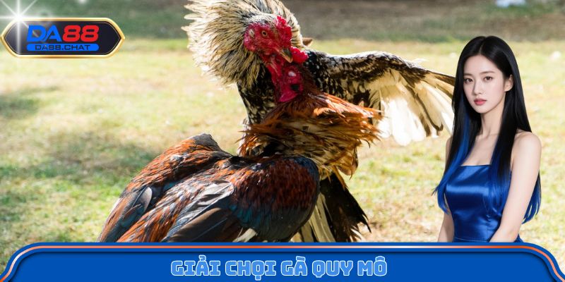 Giải chọi gà quy mô